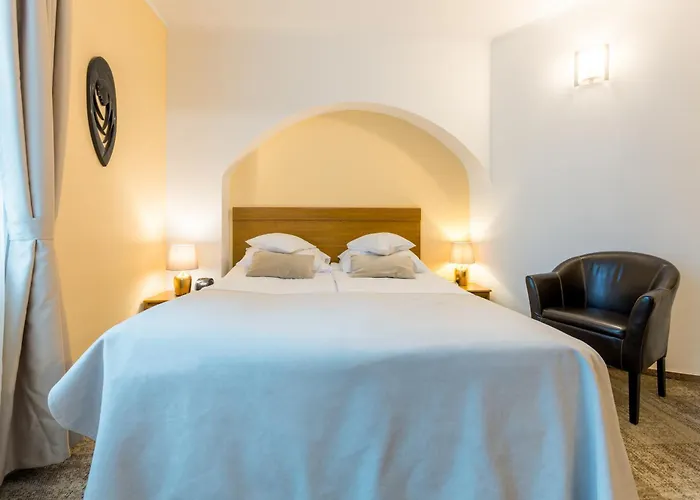 Hotel Ambient