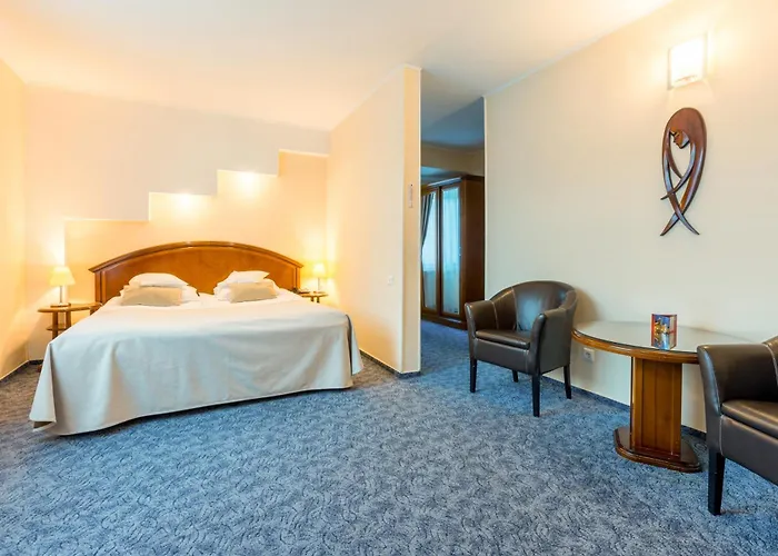 Hotel Ambient